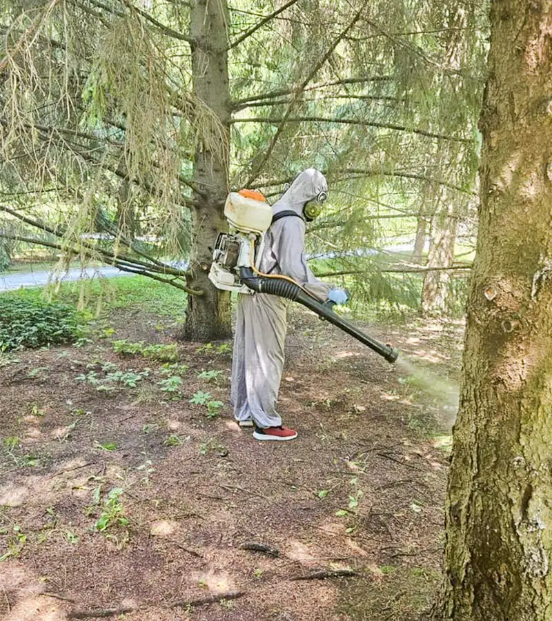 Опрыскивание участка и деревьев